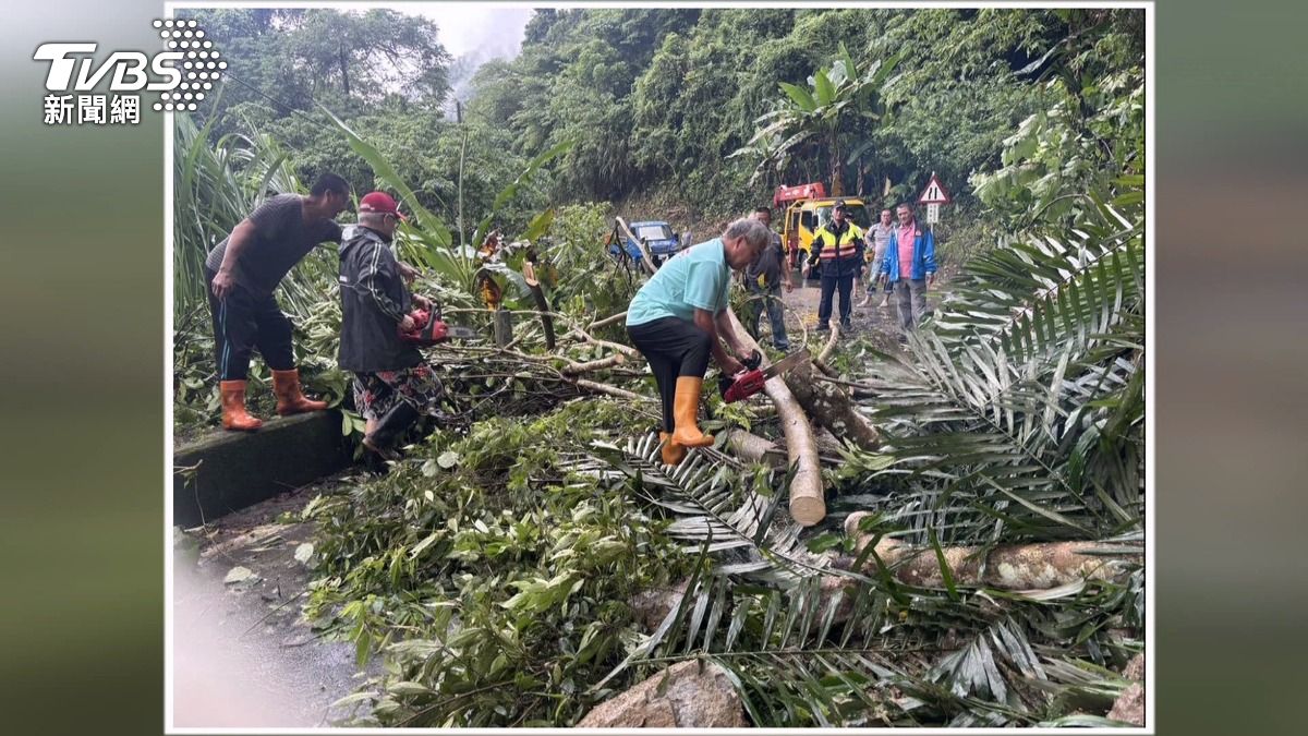  大樹瞬間砸下！苗栗山區道路遭阻　村民鏈鋸助搶通全記錄。(圖／民眾提供)