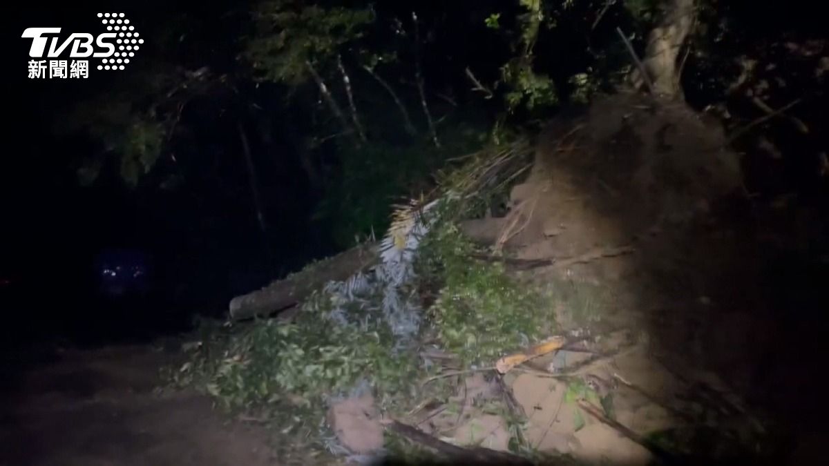  苗栗山區道路坍方！「大樹倒落石」阻路。(圖／民眾提供)