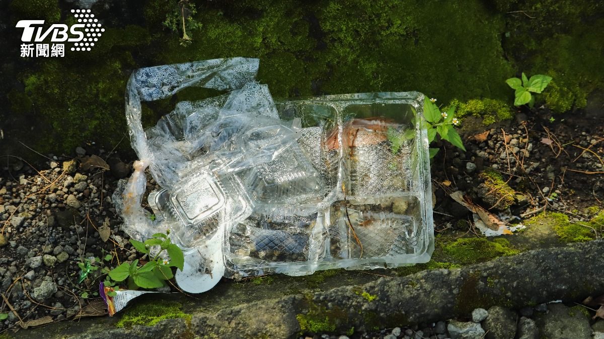 吃塑膠救地球？「這種蟲」24小時分解塑膠袋　還能轉化為脂肪