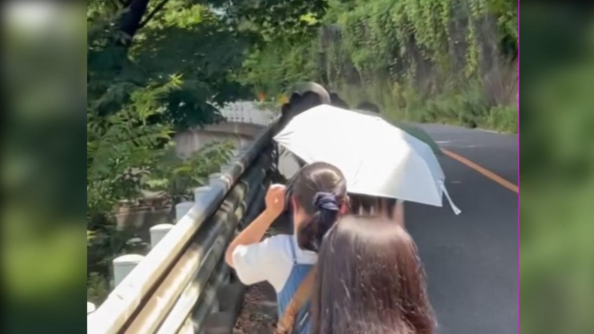 台灣遊客到日本搭乘電車遇上「海嘯警報」,被疏散到附近的山上避難。(圖/hsing_0821提供)