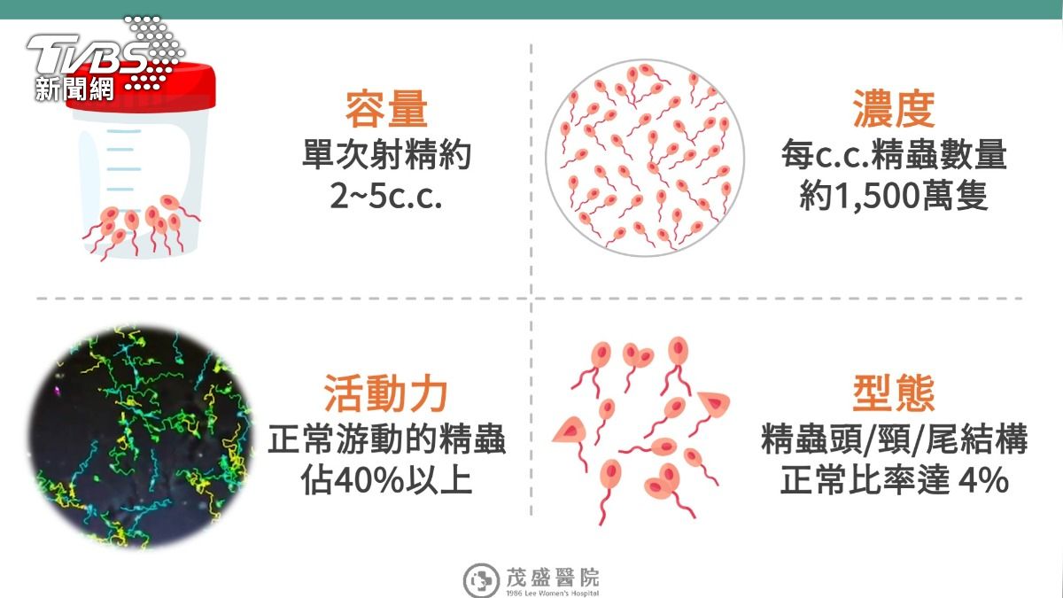 精液檢測標準。(圖/TVBS)