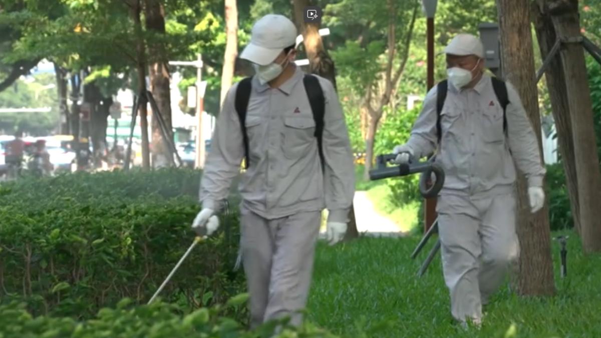 防屈公病疫情擴散,廣東全省大消毒,減少病媒蚊孳生。(圖/CCTV+)