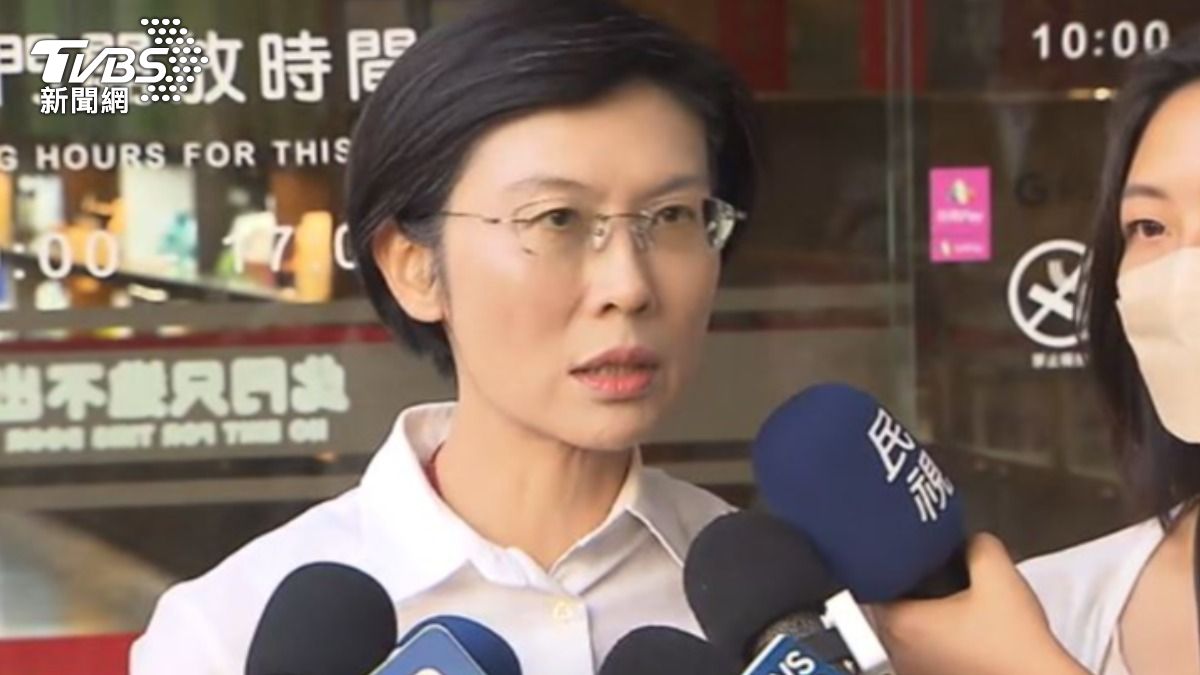民進黨立委林岱樺。（圖／TVBS）
