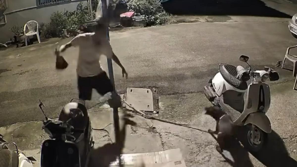 歐告挨打「夾尾巴」逃竄!鄰居持掃把打狗 兇狠行徑全拍下