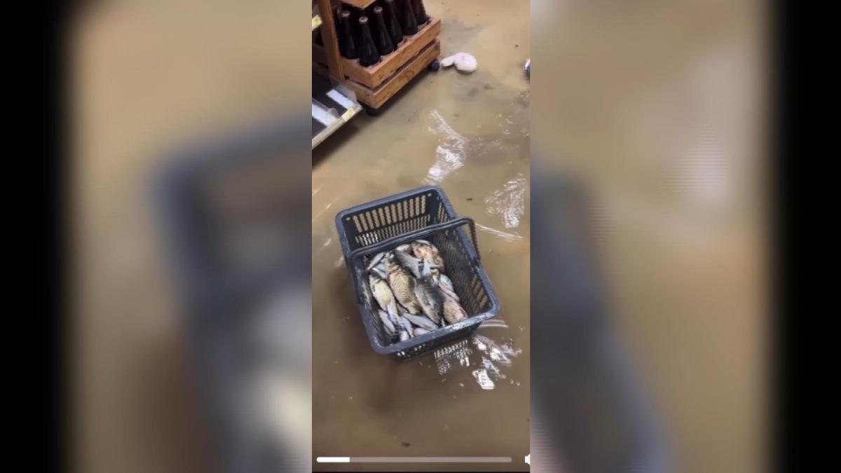 超商遭溪水淹沒，「菜籃裝滿小魚」畫面曝。(圖／alice._511)