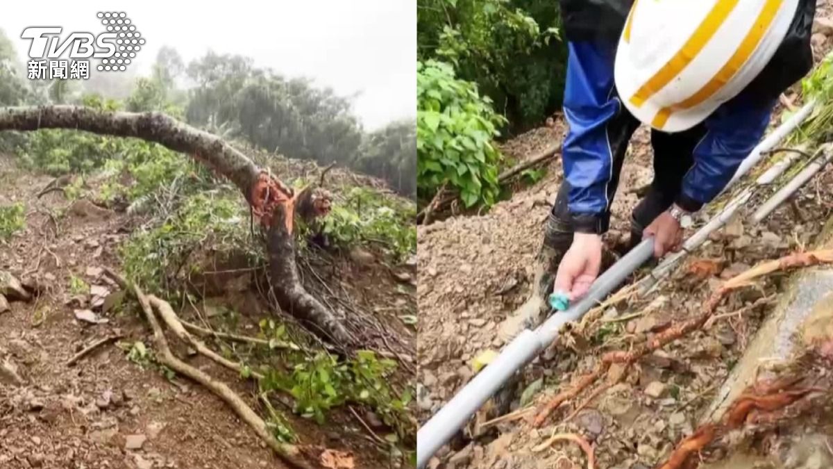 南化區居民家中山泉水將耗盡,冒險至坍塌處接水管。(圖/TVBS)