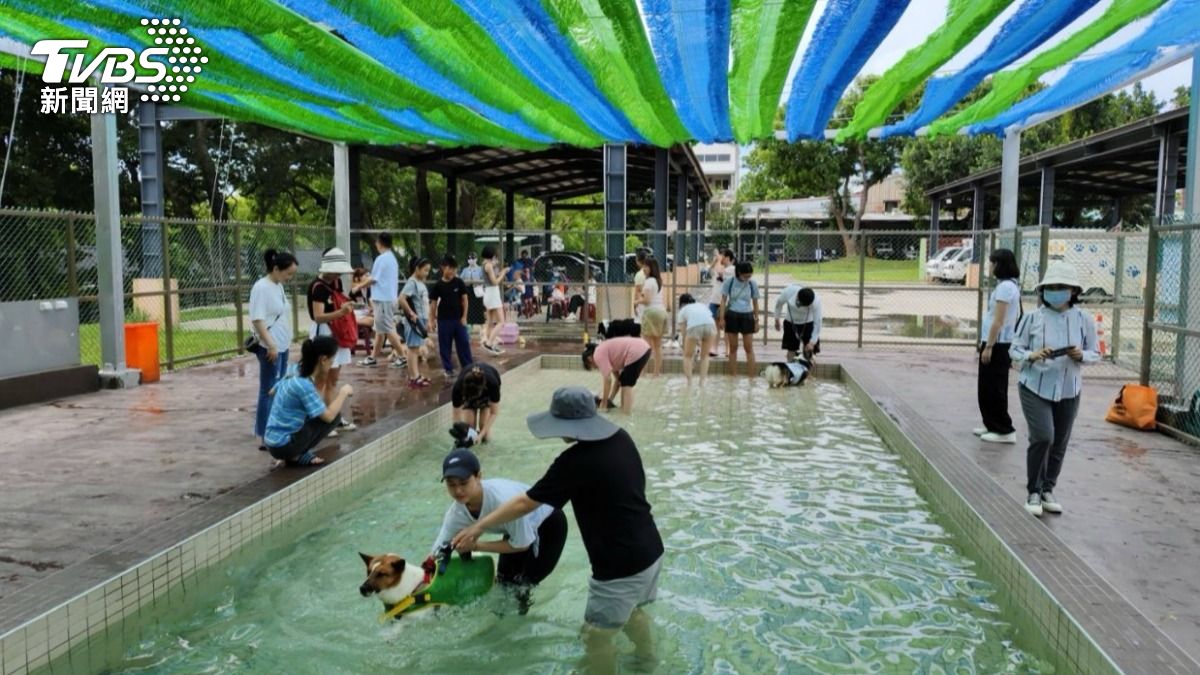 全台首座寵物戲水池今8/1正式啟用（圖／桃園市動保處）