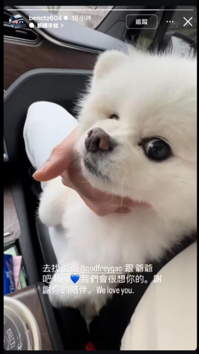 高以翔愛犬帝歐過世。(圖/翻攝自微博)