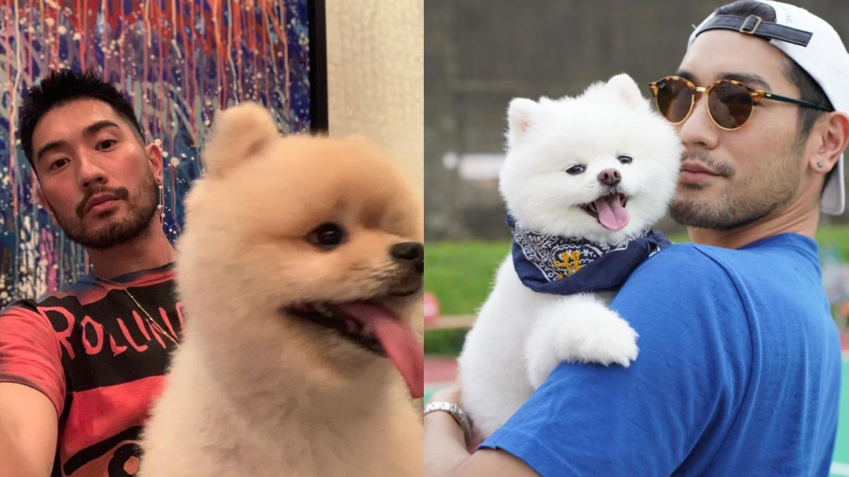 「高以翔愛犬」離世！二哥悲痛證實　粉絲淚：和爸爸團聚了