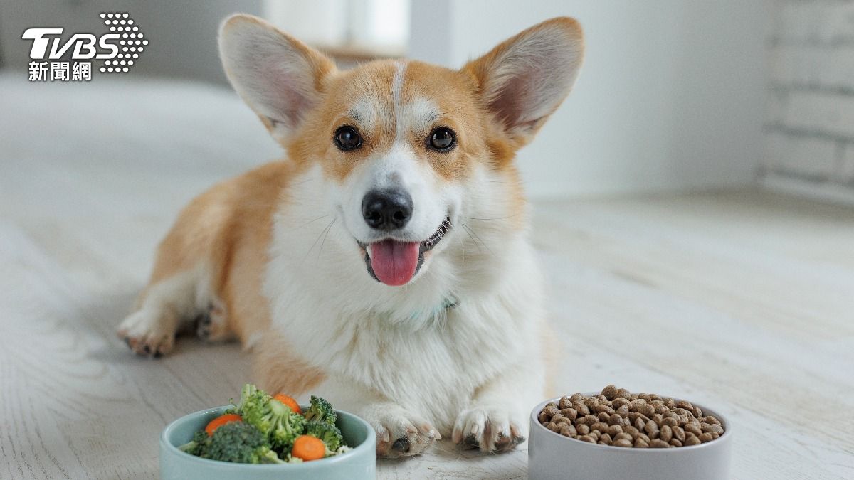 乾食會增加喝水頻率。(示意圖/shutterstock達志影像)