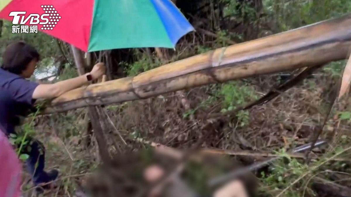 彰化失智翁買早餐失蹤　兩天後竹林尋獲。(圖／TVBS)
