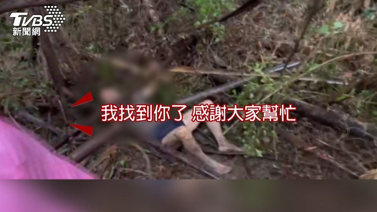 失智翁困竹林50小時　「我找到你了」兒激動。(圖／TVBS)