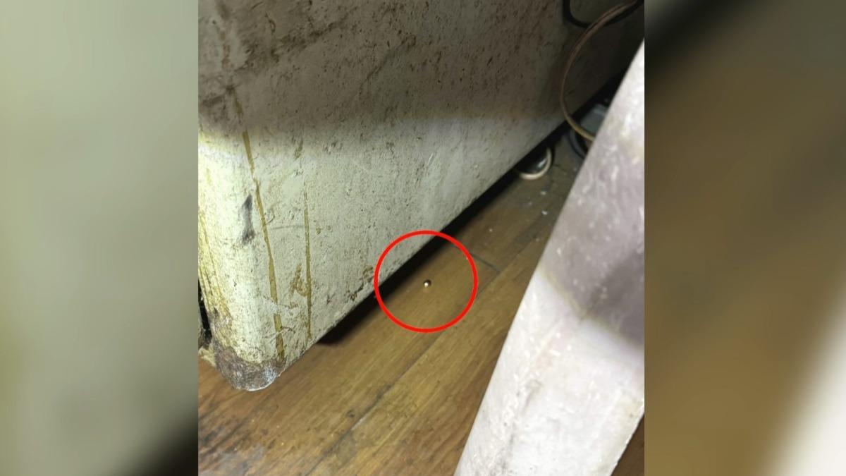 警方在值班台內發現兩顆鋼珠彈。(圖／民眾提供)