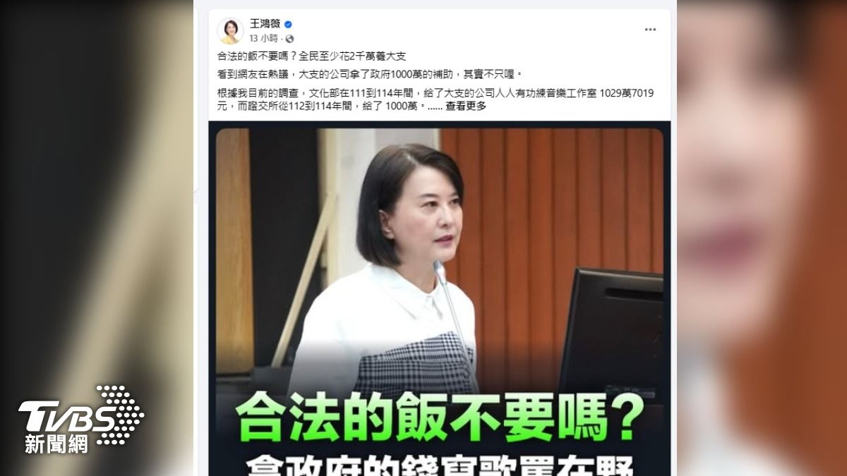 國民黨立委王鴻薇揭露「大支」所屬的音樂工作室，獲得超過２千萬元政府補助。（圖／王鴻薇臉書）