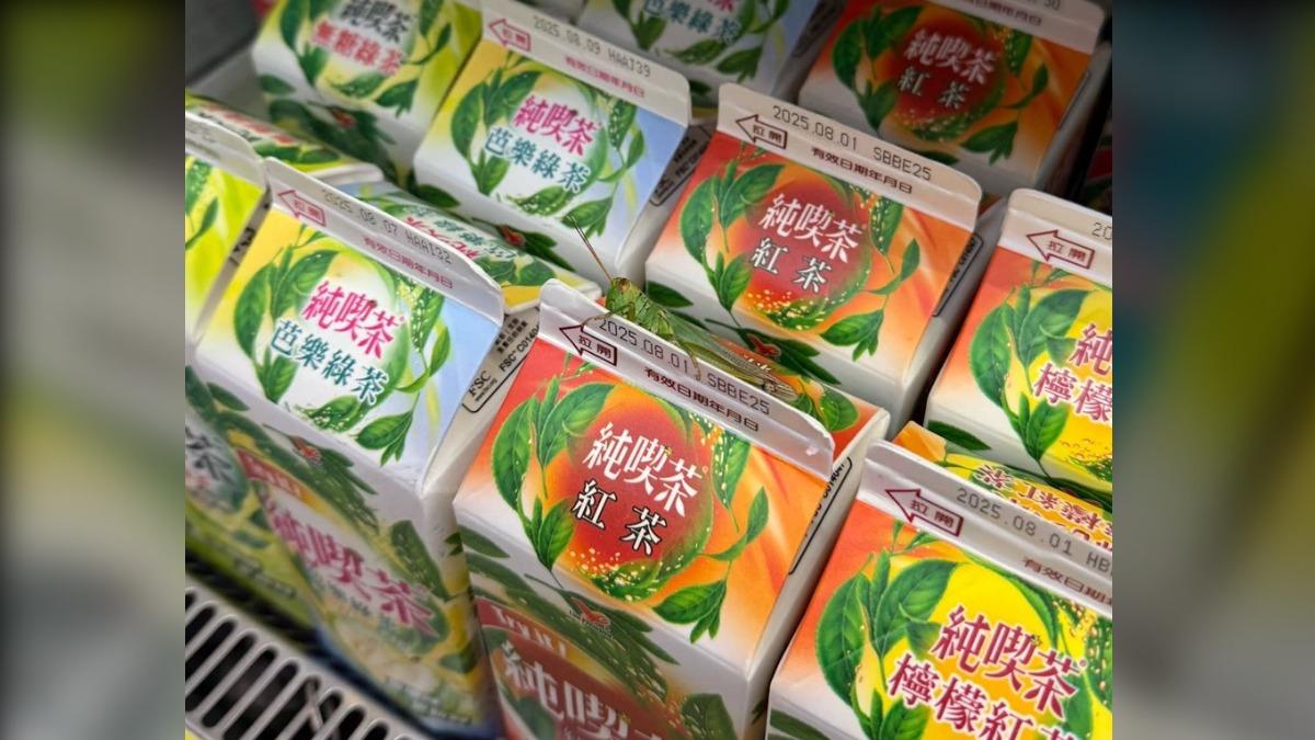 不只戶外，也跑進便利商店、民眾住家裡面。（圖／FB路上觀察學院）