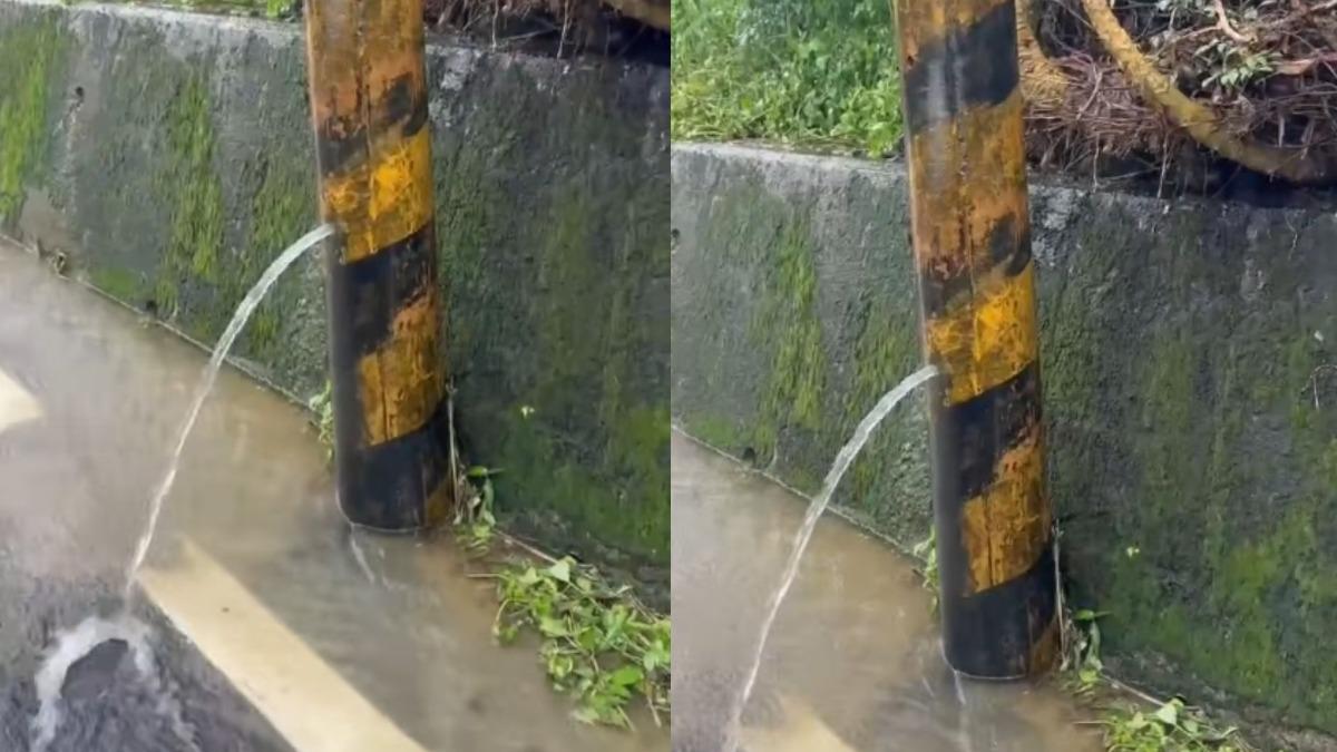 喝太多水!南投暴雨赫見「電線桿尿尿」 網驚:原來是男的