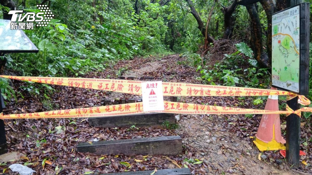 沒事別亂跑!台中大坑步道擋不住雨土石崩落 14條路全封了