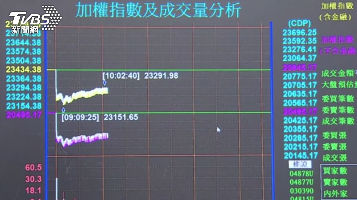 台股開低走低。（圖／TVBS）