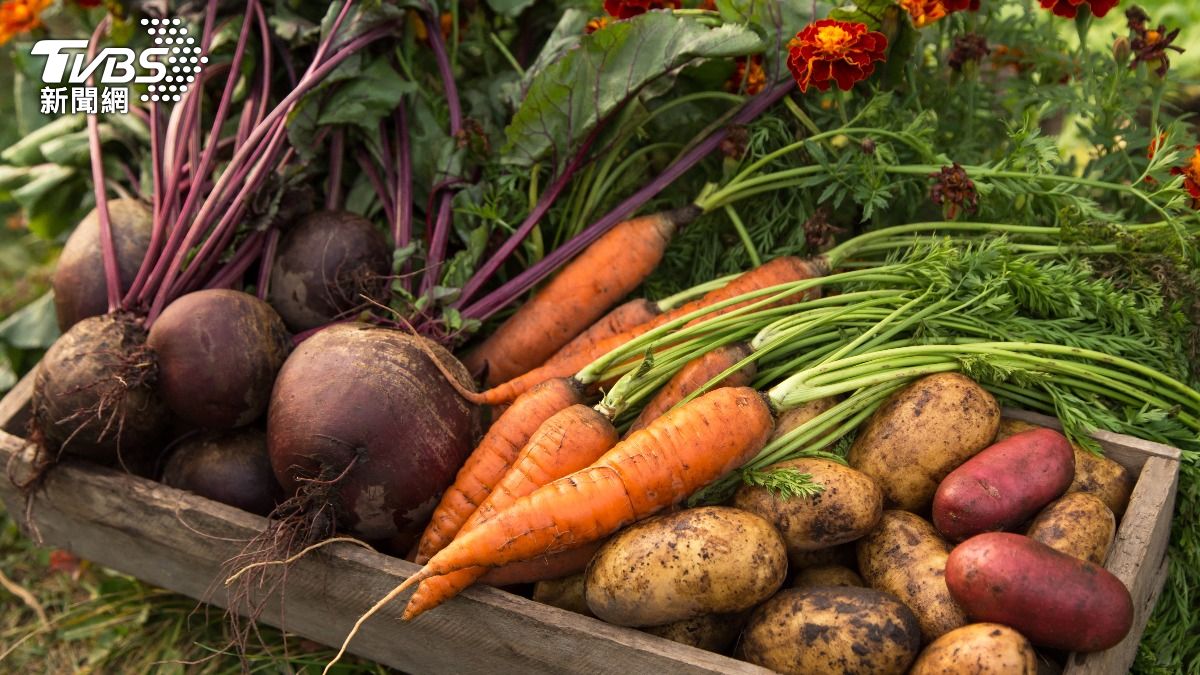 發芽還可以吃?9種常見食材一次看 這物誤食恐嘔吐、腹痛