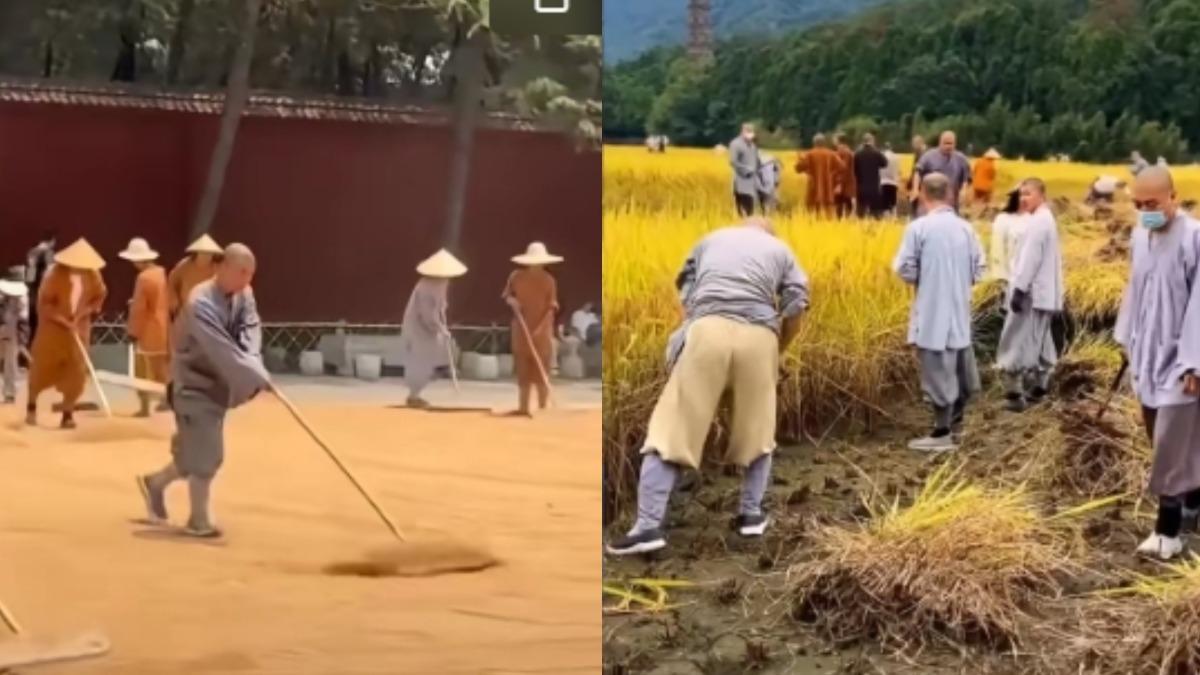 釋印樂法師調整僧人作息時間,讓他們耕地農活。(圖/翻攝自微博)