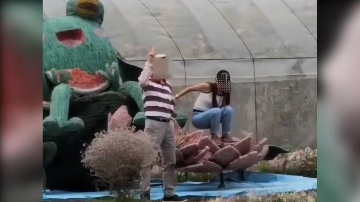 告示牌當裝飾？　女子爬稻草青蛙拍照惹眾怒