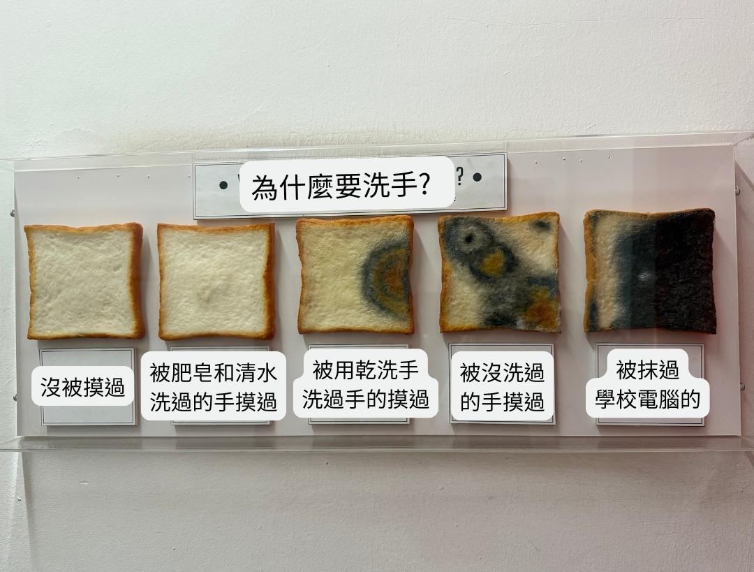 各種手部狀態摸過的白吐司。(圖/翻攝自傑登醫師臉書)