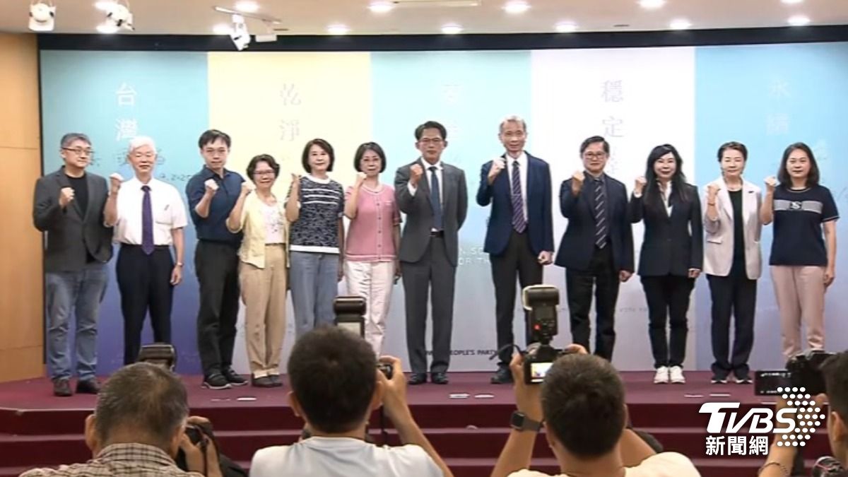 公投正方代表(圖/TVBS資料畫面)
