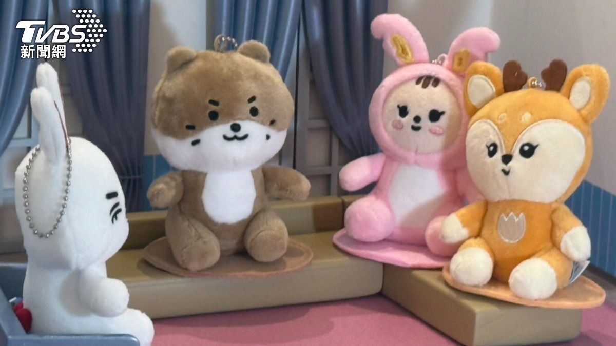 粉絲瘋買商品,但坦言台灣售價比其他國家還要貴。(圖/TVBS)