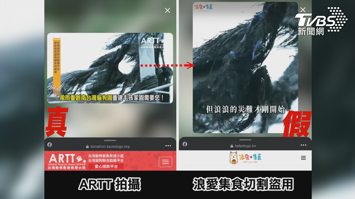 台灣動物救援團體影片被網路飼料平台盜用重製成廣告投放,讓動保團體痛批用假公益牟利(圖/台灣動物緊急救援小組提供)