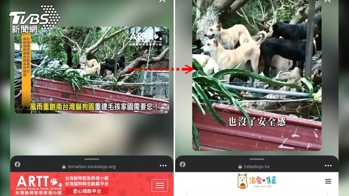廠商盜圖內容大多是未經同意下重製使用,但PO文的不是公益團體,而這募得的款項呢?(圖/台灣動物緊急救援小組提供)