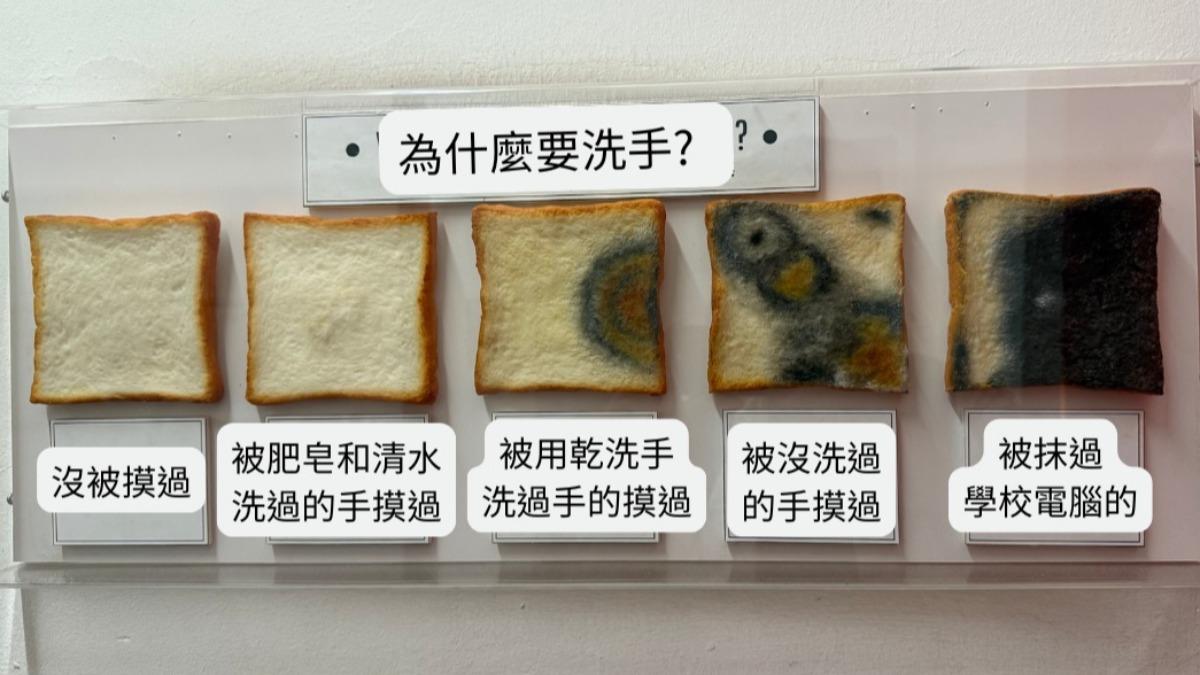 白吐司若給5種不同狀態的手摸過,發霉情況也會截然不同。(圖/翻攝自「傑足先登 傑登醫師」臉書)