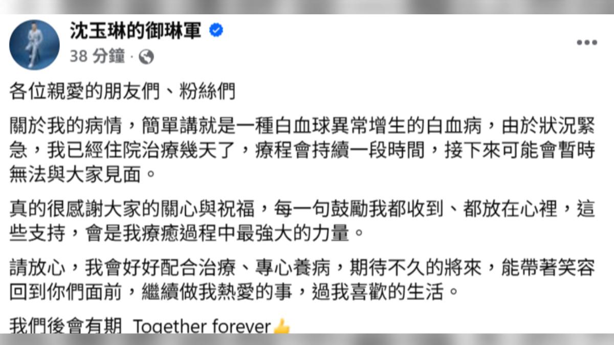 沈玉琳發文證實罹患血癌。(圖/翻攝自沈玉琳臉書)