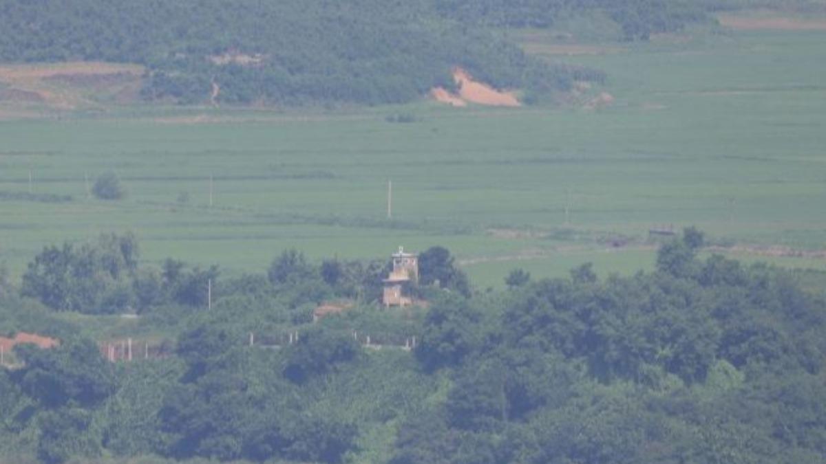 北韓男「保麗龍綁身」跳江 游2.5公里逃亡南韓