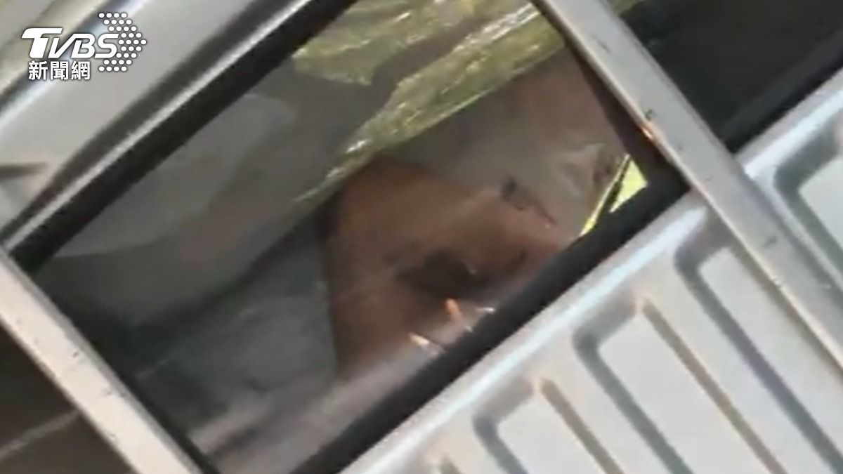 男子一度受困車內,全身多處擦挫傷。(圖/TVBS)