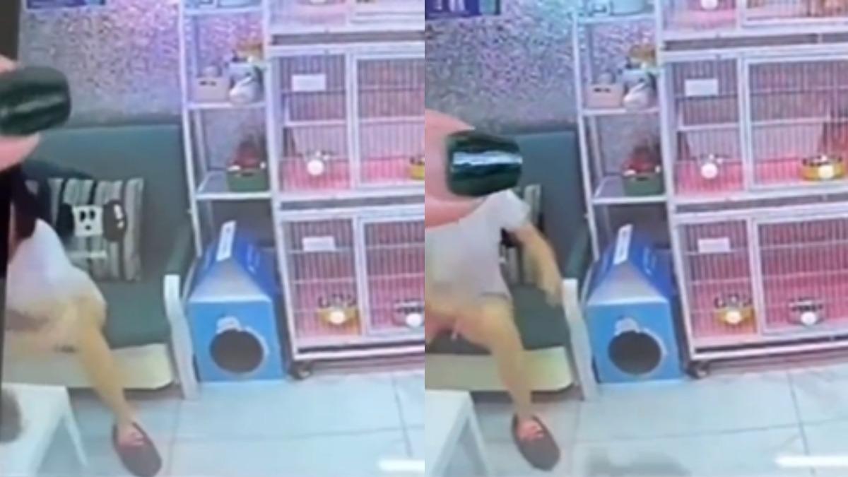 「今天心情不好」！女子跑貓咖虐死4貓　兇殘手法遭起底是慣犯