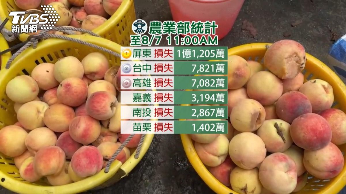 全台農損已達三億五千五百九十六萬元。(圖/TVBS)