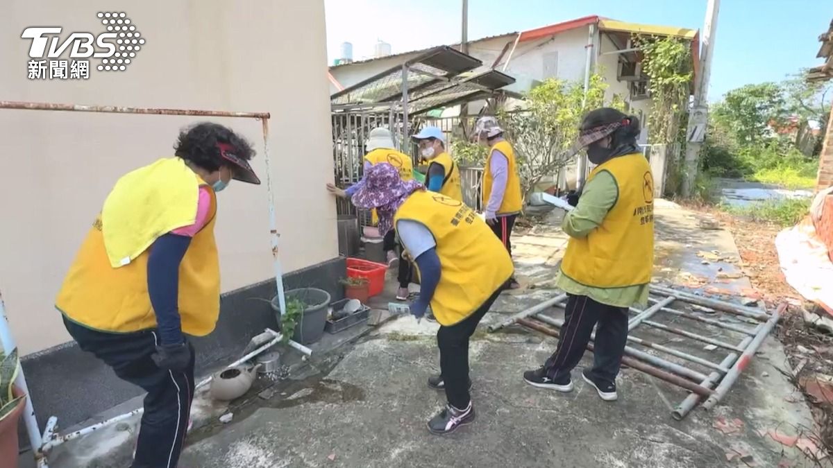 楊柳恐襲台!台南「登革熱陽性率」飆升36%(圖/TVBS)