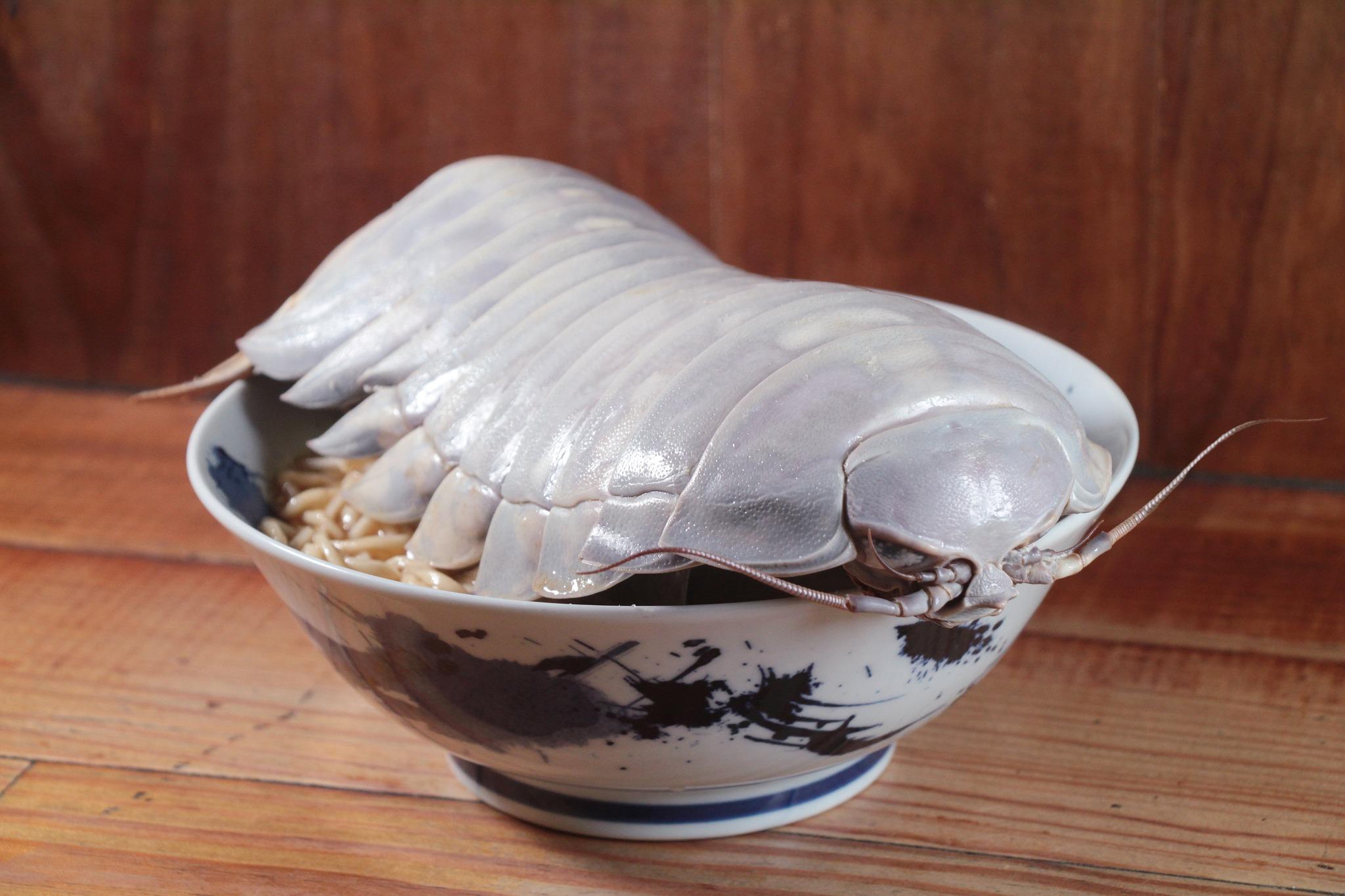「拉麵公子」曾推出大王具足蟲拉麵,視覺很震撼。(圖/翻攝自拉麵公子臉書)