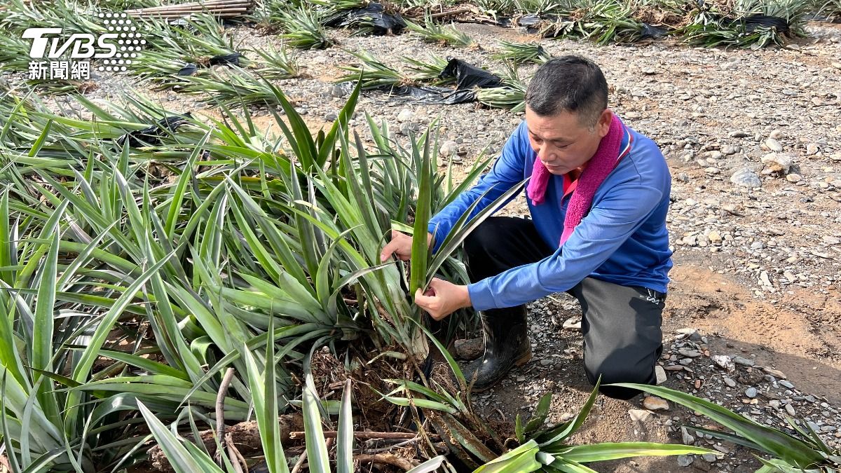 慘!0728豪雨農損破4億 「這地」逾1億最多