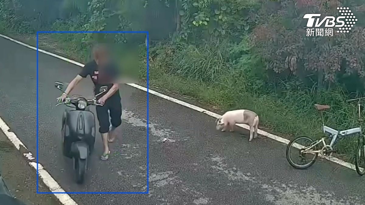 金髮男子偷機車代步,竟因自己的髮色,迅速被警方鎖定逮捕。(圖/TVBS)