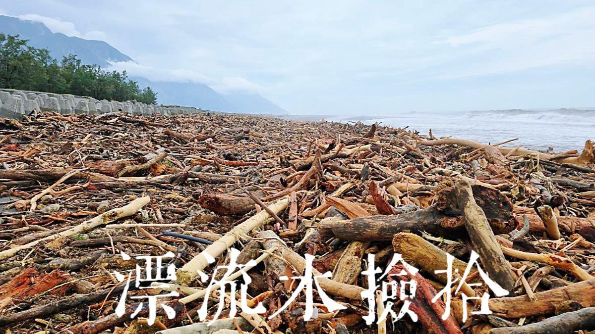 颱風過境出現大量漂流木！林保署發簡易圖卡　放寬撿拾新制