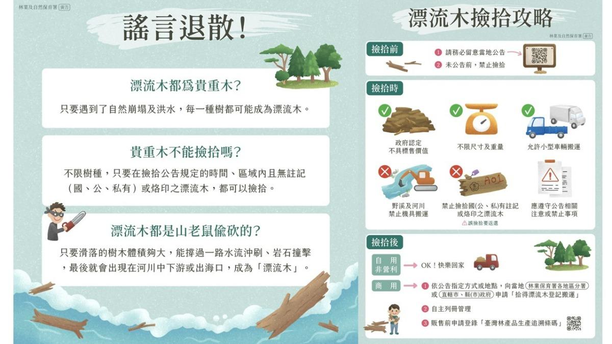 漂流木撿拾攻略。(圖/林保署提供)