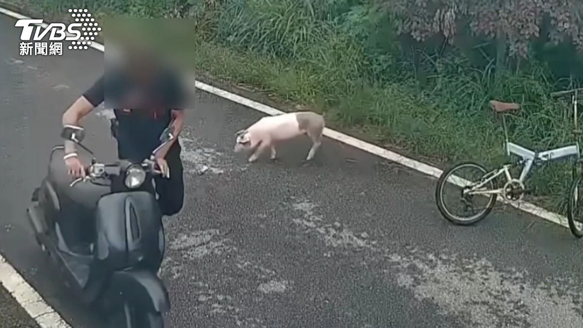 金髮男丟棄自己的小折,偷竊路邊的機車。(圖/TVBS)