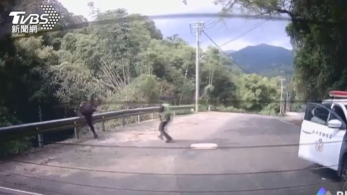 警方的巡邏車從後方夾擊時，邱嫌立刻下車跳5層樓高山溝。(圖／民眾提供)