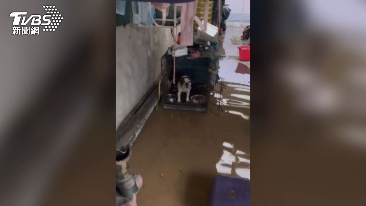 彰化社頭豪雨成災！「黃泥水傾瀉」淹民宅，寵物困籠中盼救援。(圖／翻攝臉書社頭人俱樂部(我在社頭)