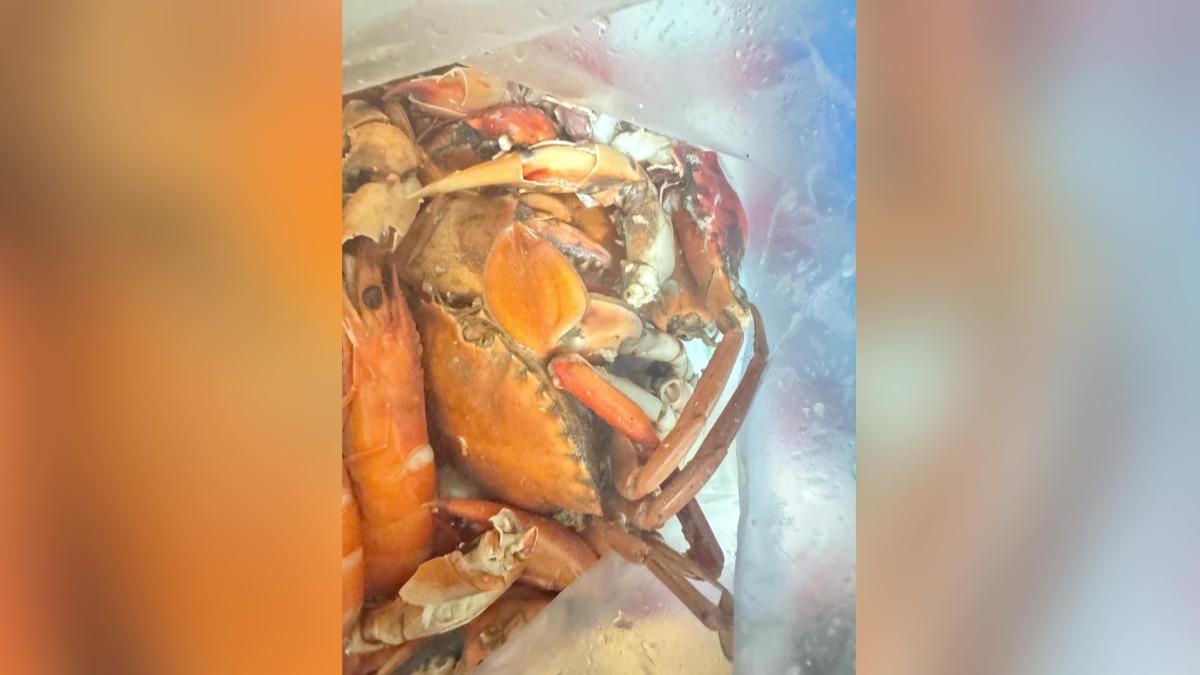 張先生和家人從彰化南下嘉義,在布袋漁港買了四千元的海鮮,找了一間代客料理要求清蒸,對方卻端出水煮蟹(圖/翻攝爆料公社)