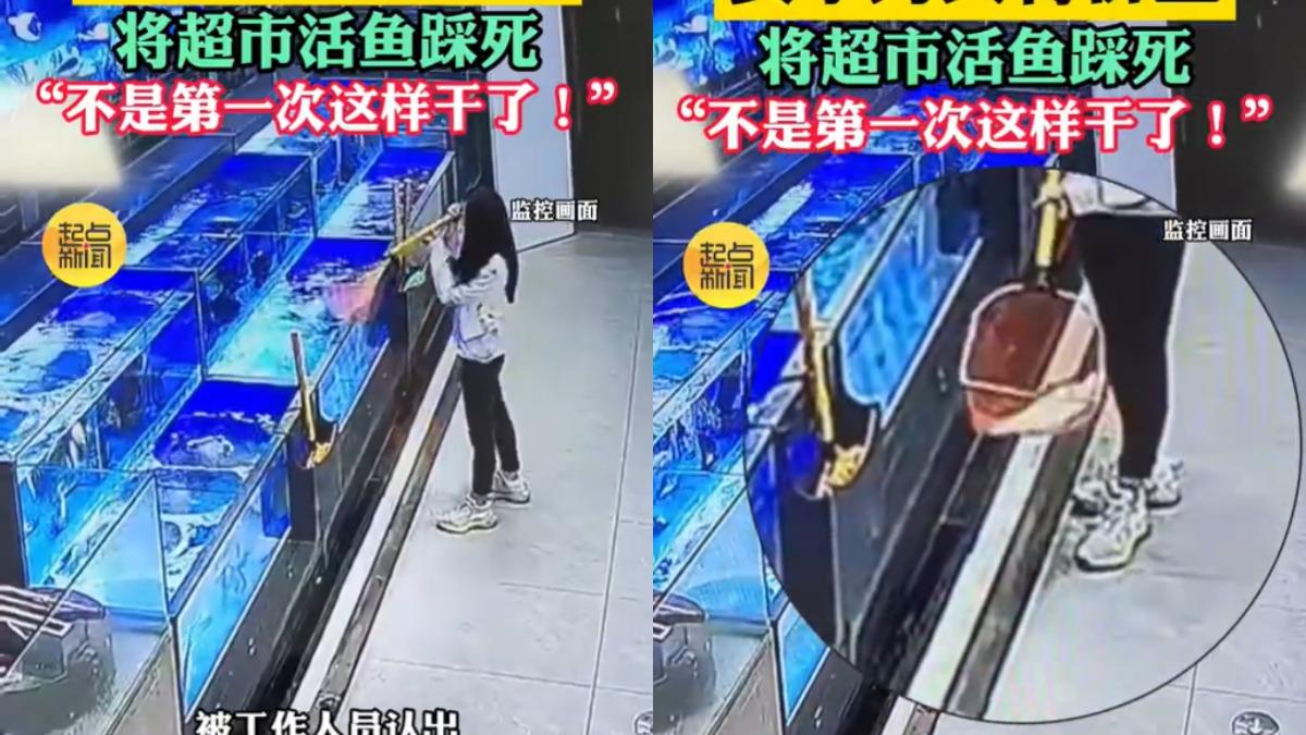 離譜！陸女為撿便宜「撈出活魚後踩死」畫面曝　全網怒批：丟臉