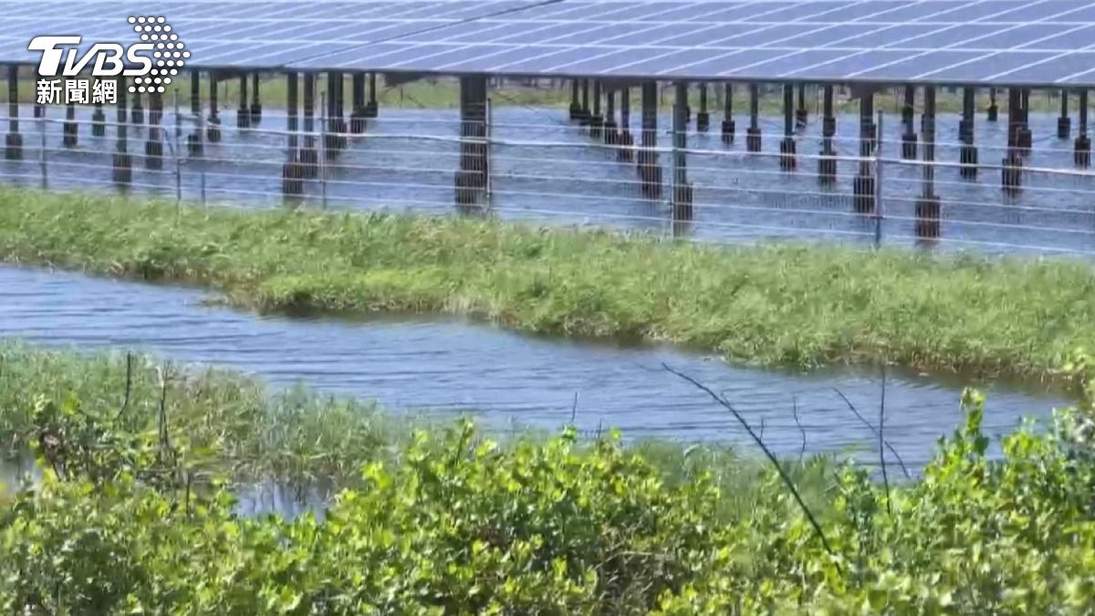雲林口湖半數光電場泡水不退,九旬阿嬤無法返家居民心慌。(圖/TVBS)