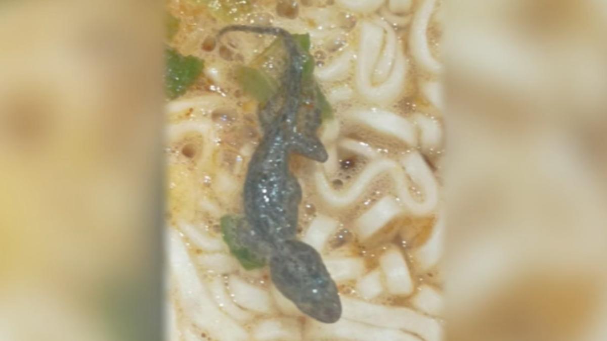 壁虎屍「浮上湯麵」,業者表示若經過高溫+機器攪拌,壁虎很難完整。(圖/翻攝threads:naizhen_licaao)