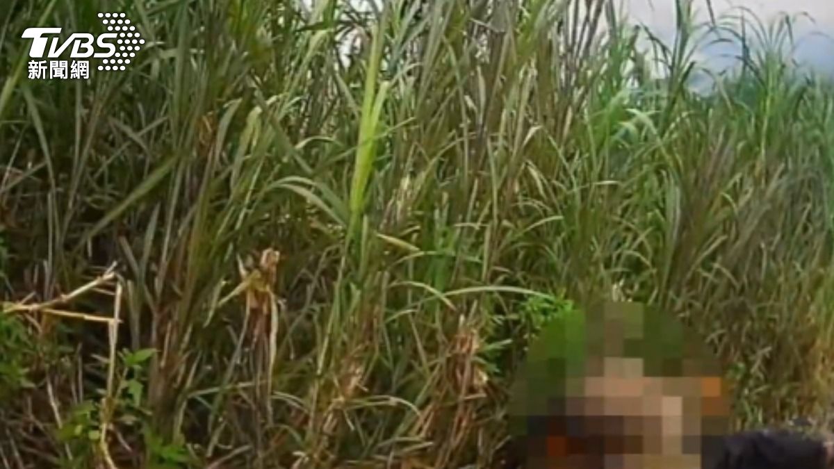 陳男先前倒臥草叢睡覺,成為最後身影。(圖/TVBS)